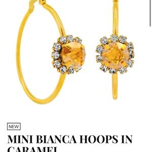 TOVA Mini Bianca Hoops in Caramel